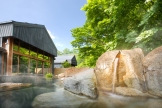 HOSHINOYA Karuizawa Hot spring Tombono-yu